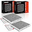 APCAF100 2 Pcs Activated Carbon Cabin Air Filter