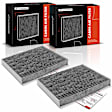 APCAF209 2 Pcs Cabin Air Filter