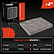 APCAF210 Cabin Air Filter