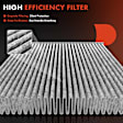 APCAF210 Cabin Air Filter