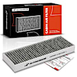 APCAF224 Cabin Air Filter