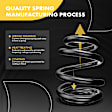 APCS134 Front, Driver and Passenger Side Coil Springs, Set of 2