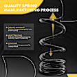 APCS135 Front, Driver and Passenger Side Coil Springs, Set of 2