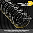 APCS229 Front, Driver or Passenger Side Coil Springs, Set of 2