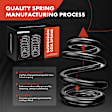 APCS298 Rear, Driver and Passenger Side Coil Springs, Set of 2