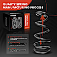 APCS551 Rear, Driver and Passenger Side Coil Springs, Set of 2