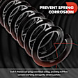 APCS568 Rear, Driver and Passenger Side Coil Springs, Set of 2