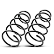 APCS654 Front, Driver and Passenger Side Coil Springs, Set of 2