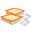 APEAF003 2 Pcs Engine Air Filter