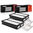 APEAF009 2 Pcs Engine Air Filter