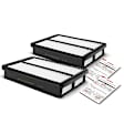 APEAF009 2 Pcs Engine Air Filter