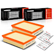 APEAF013 2 Pcs Engine Air Filter