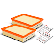 APEAF013 2 Pcs Engine Air Filter