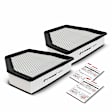 APEAF021 2 Pcs Engine Air Filter