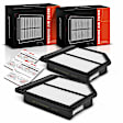 APEAF031 2 Pcs Engine Air Filter with Rigid Panel