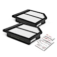 APEAF031 2 Pcs Engine Air Filter with Rigid Panel