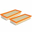 APEAF035 2 Pcs Engine Air Filter