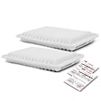 APEAF037 2 Pcs Engine Air Filter
