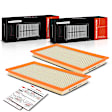 APEAF039 2 Pcs Engine Air Filter