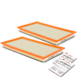APEAF039 2 Pcs Engine Air Filter