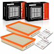 APEAF043 2 Pcs Engine Air Filter with Flexible Panel