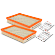 APEAF043 2 Pcs Engine Air Filter with Flexible Panel