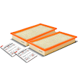 APEAF053 2 Pcs Engine Air Filter