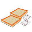 APEAF063 2 Pcs Engine Air Filter