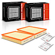 APEAF069 2 Pcs Engine Air Filter
