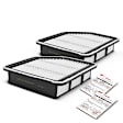 APEAF077 2 Pcs Engine Air Filter