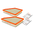 APEAF083 2 Pcs Engine Air Filter