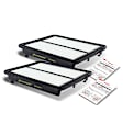 APEAF089 2 Pcs Engine Air Filter