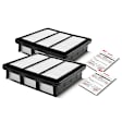 APEAF091 2 Pcs Engine Air Filter
