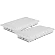 APEAF095 2 Pcs Engine Air Filter