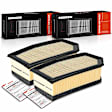 APEAF1020 2 Pcs Engine Air Filter