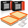 APEAF1022 2 Pcs Engine Air Filter