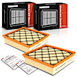 APEAF1028 2 Pcs Engine Air Filter