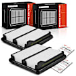 APEAF1039 2 Pcs Engine Air Filter with Rigid Panel