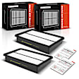 APEAF1046 2 Pcs Engine Air Filter with Rigid Panel