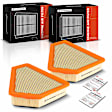 APEAF1055 2 Pcs Engine Air Filter with Flexible Panel