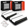 APEAF1059 2 Pcs Engine Air Filter