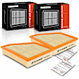 APEAF1061 2 Pcs Engine Air Filter with Flexible Panel