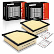 APEAF1090 2 Pcs Engine Air Filter
