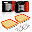 APEAF1096 2 Pcs Engine Air Filter