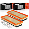 APEAF1103 2 Pcs Engine Air Filter with Flexible Panel