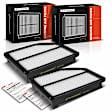 APEAF1106 2 Pcs Engine Air Filter with Rigid Panel