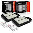 APEAF1118 2 Pcs Engine Air Filter