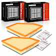 APEAF1128 2 Pcs Engine Air Filter