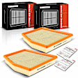 APEAF1140 2 Pcs Engine Air Filter