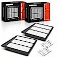 APEAF1141 2 Pcs Engine Air Filter